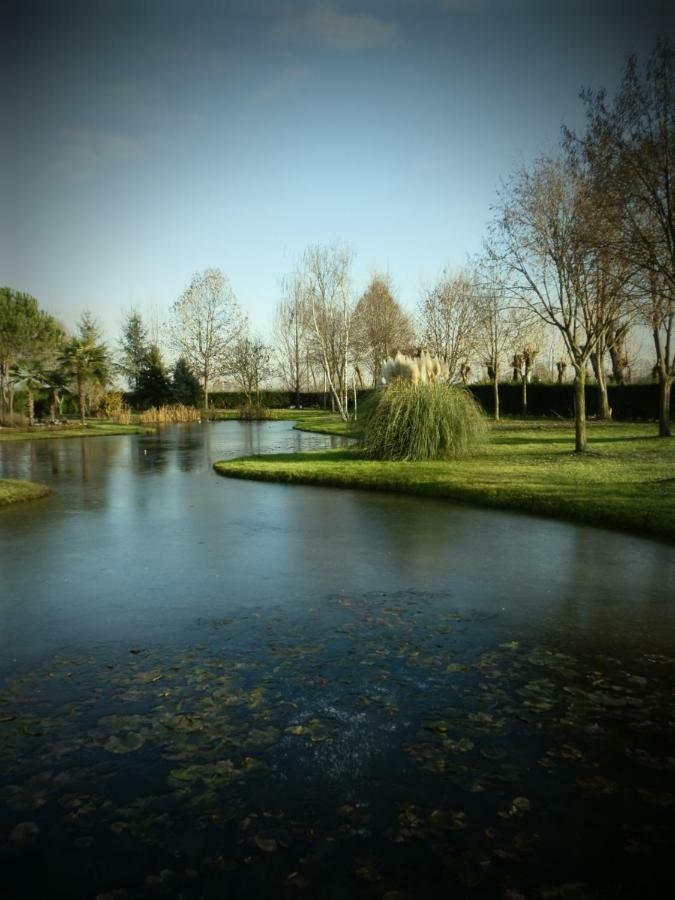 La Casa Vecchia B&B Camisano Vicentino Zewnętrze zdjęcie