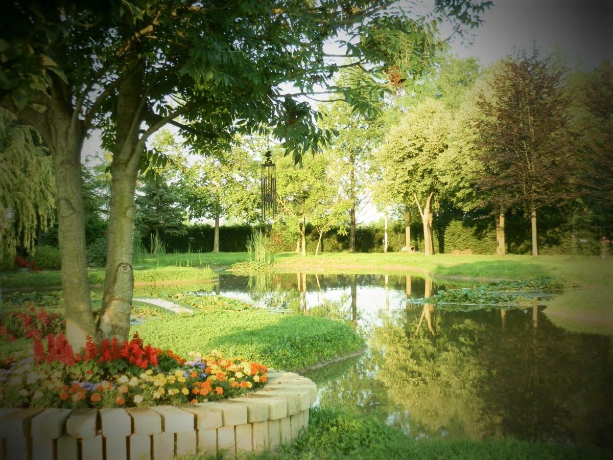 La Casa Vecchia B&B Camisano Vicentino Zewnętrze zdjęcie