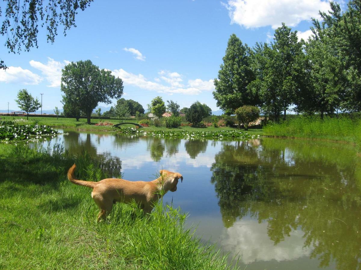 La Casa Vecchia B&B Camisano Vicentino Zewnętrze zdjęcie