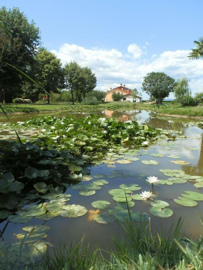 La Casa Vecchia B&B Camisano Vicentino Zewnętrze zdjęcie